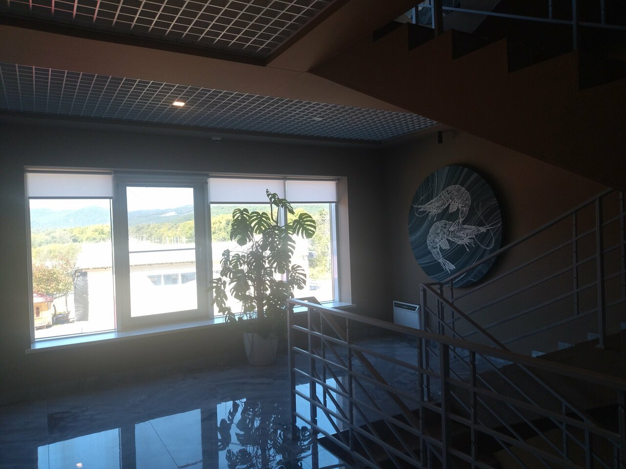 Гостиница Звезда моря Владивосток-157