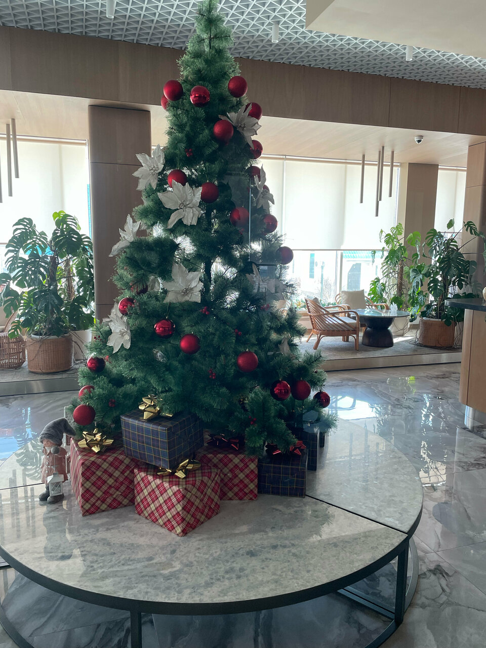 Гостиница Звезда моря Владивосток-105