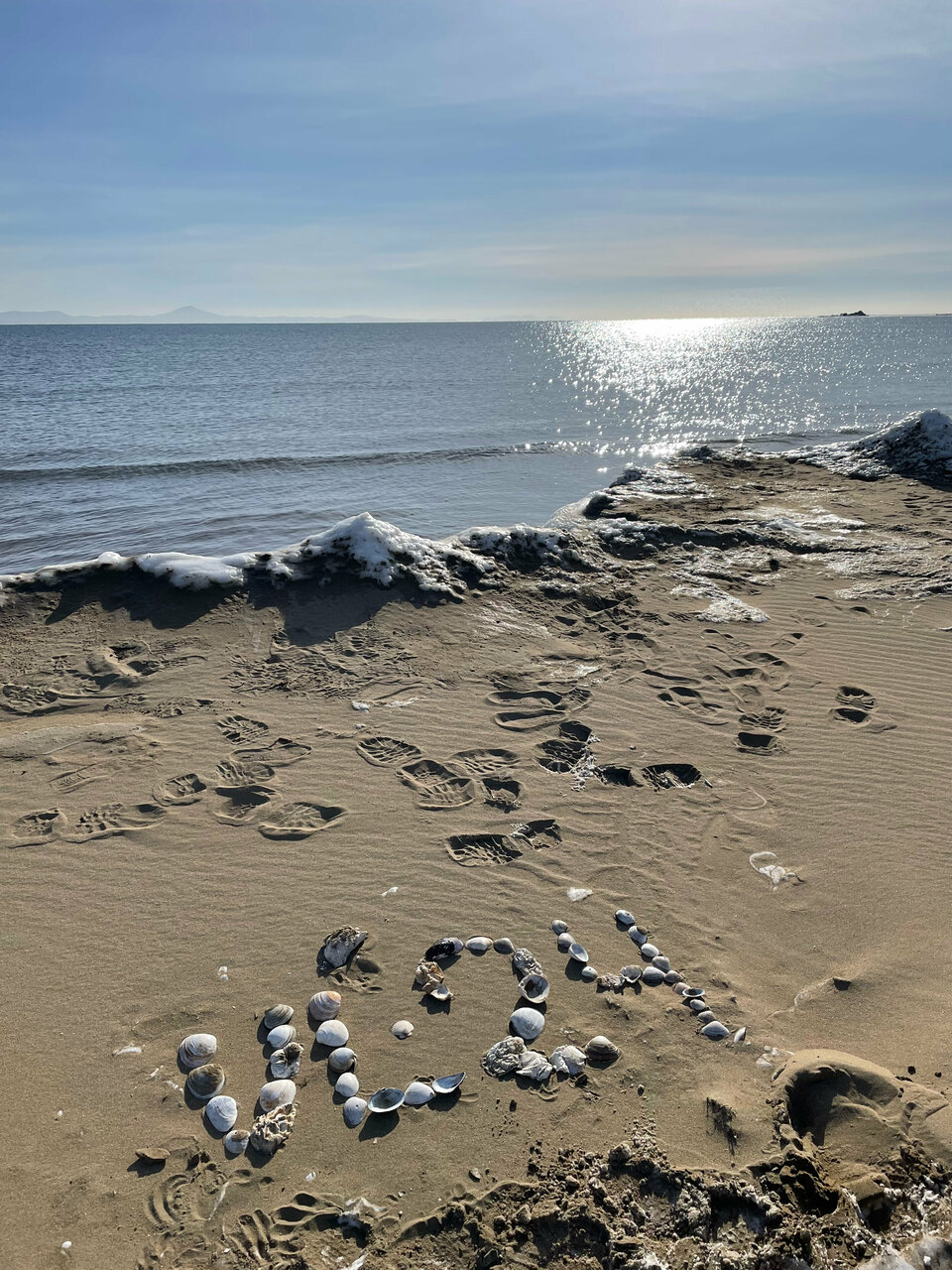 Гостиница Звезда моря Владивосток-104