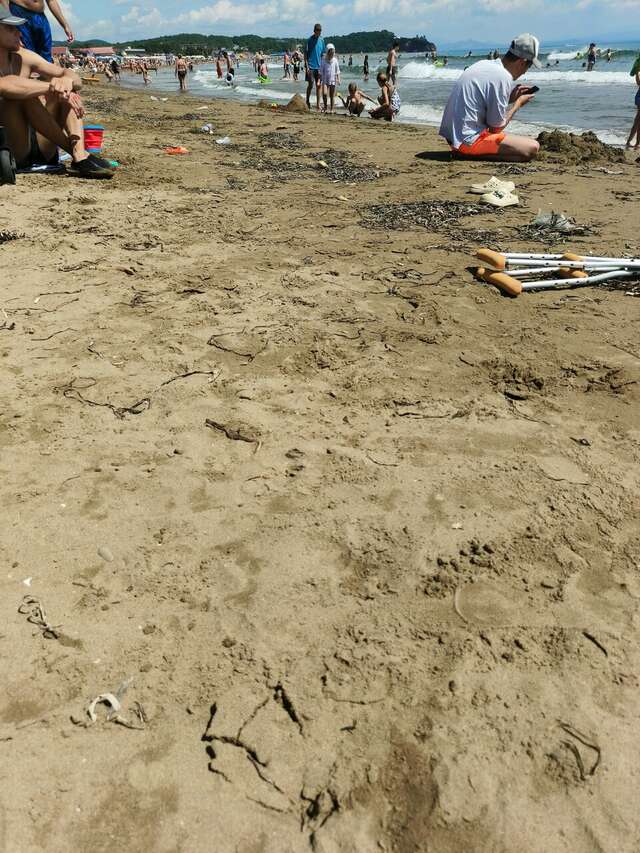 Гостиница Звезда моря Владивосток-116